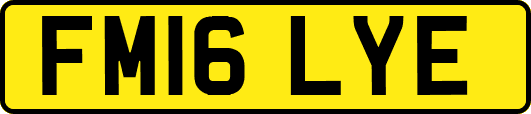 FM16LYE