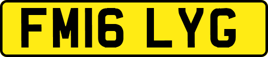 FM16LYG