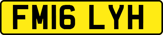 FM16LYH