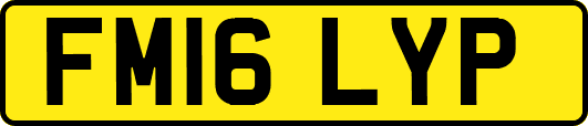 FM16LYP
