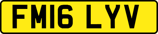 FM16LYV