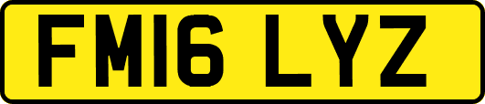 FM16LYZ
