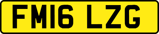FM16LZG