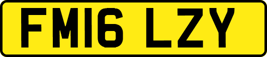 FM16LZY