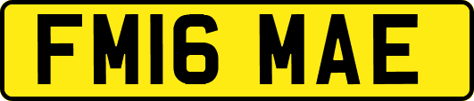 FM16MAE