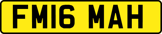 FM16MAH