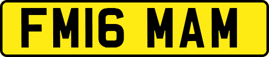 FM16MAM