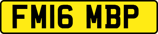 FM16MBP