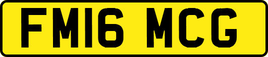 FM16MCG