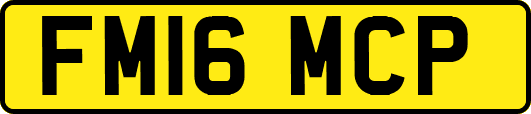 FM16MCP