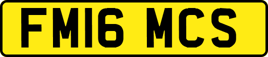 FM16MCS