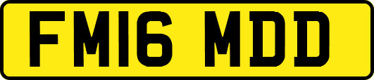FM16MDD