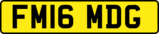 FM16MDG