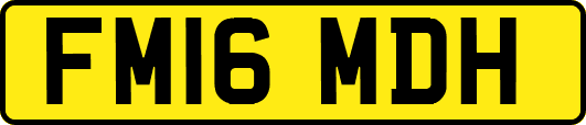 FM16MDH