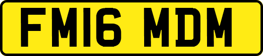 FM16MDM