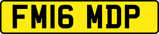 FM16MDP