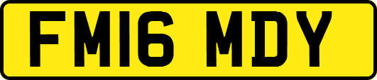 FM16MDY