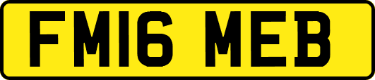 FM16MEB
