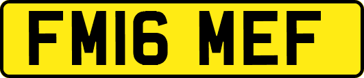 FM16MEF