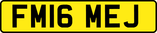 FM16MEJ