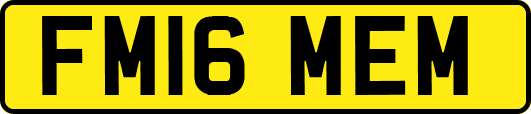 FM16MEM