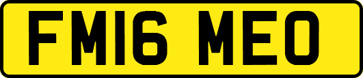 FM16MEO