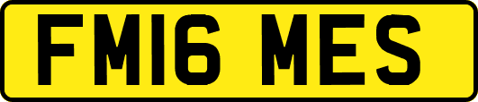 FM16MES