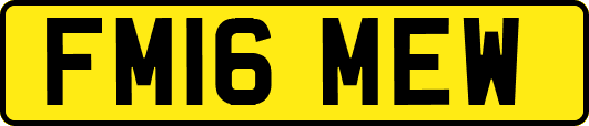 FM16MEW