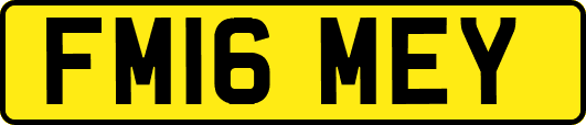 FM16MEY