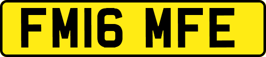 FM16MFE