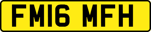 FM16MFH