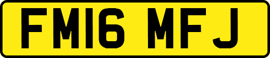 FM16MFJ