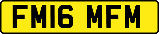 FM16MFM