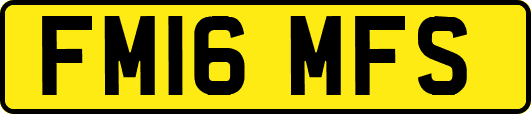 FM16MFS