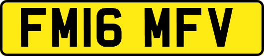 FM16MFV