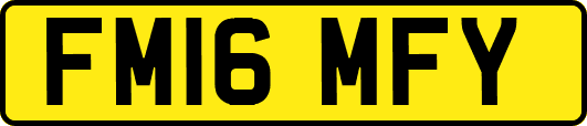 FM16MFY