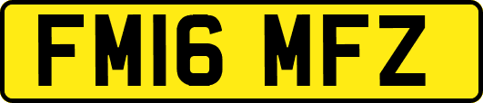 FM16MFZ