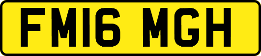 FM16MGH