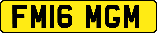 FM16MGM
