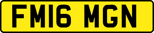 FM16MGN