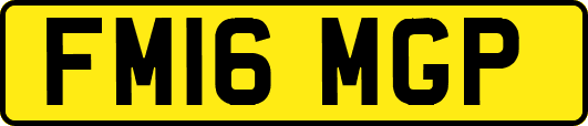 FM16MGP