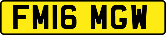 FM16MGW