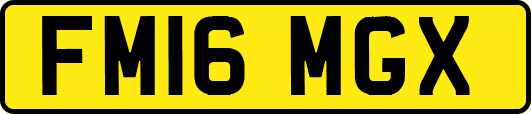 FM16MGX