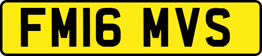 FM16MVS