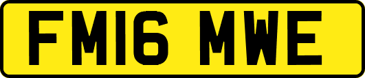 FM16MWE