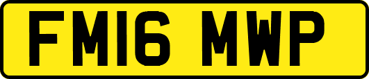 FM16MWP