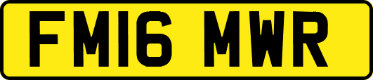 FM16MWR