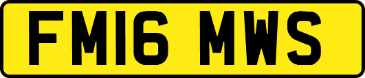 FM16MWS