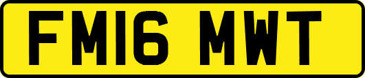 FM16MWT