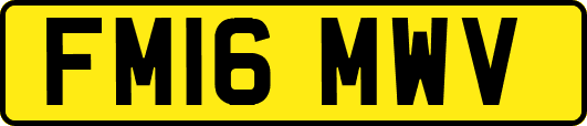 FM16MWV